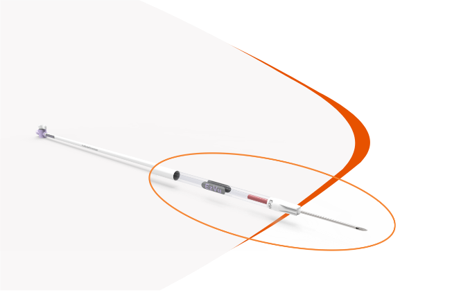 Ezvu Logo with White Background