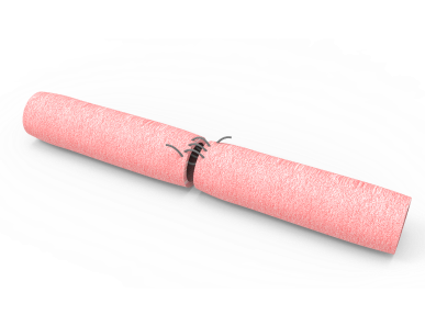 Anastomosis Soft Tissue Model