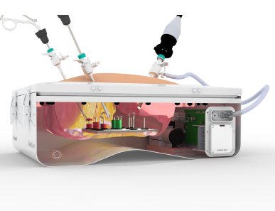 Peg Transfer Soft Tissue Model