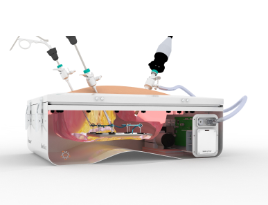 Thread Passing Soft Tissue Model